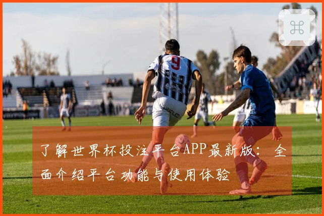 了解世界杯投注平台APP最新版：全面介绍平台功能与使用体验