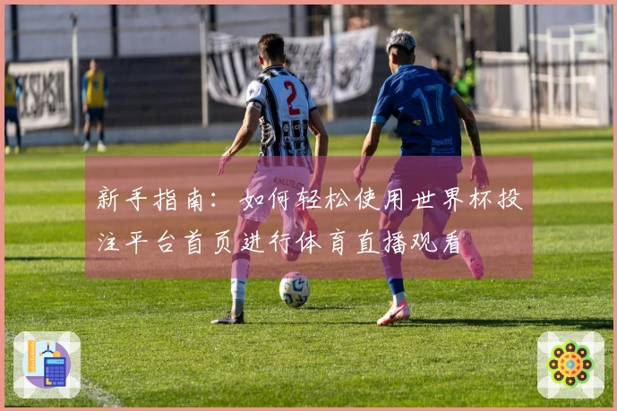 新手指南：如何轻松使用世界杯投注平台首页进行体育直播观看