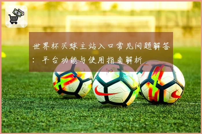 世界杯买球主站入口常见问题解答：平台功能与使用指南解析