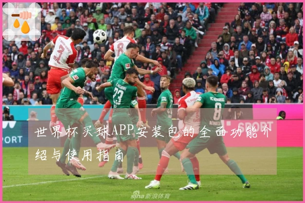 世界杯买球APP安装包的全面功能介绍与使用指南