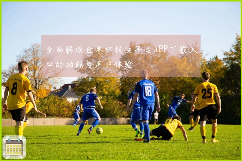 全面解读世界杯投注平台APP下载入口的功能与用户体验