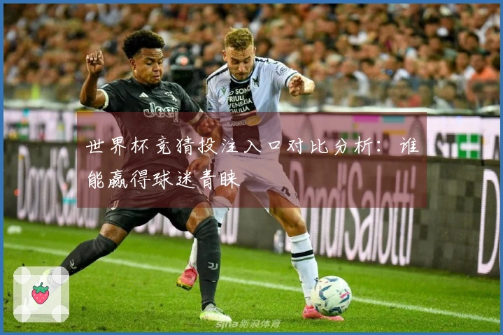世界杯竞猜投注入口对比分析：谁能赢得球迷青睐