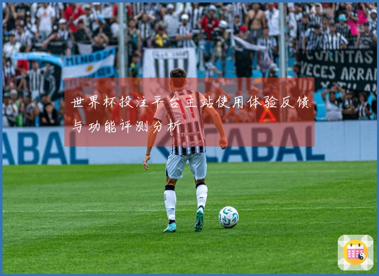 世界杯投注平台主站使用体验反馈与功能评测分析