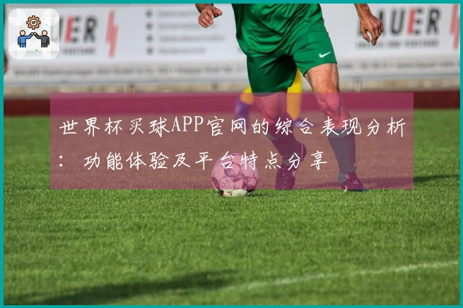 世界杯买球APP官网的综合表现分析：功能体验及平台特点分享