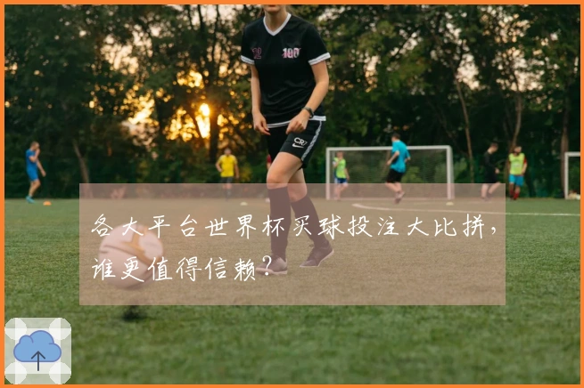 各大平台世界杯买球投注大比拼，谁更值得信赖？