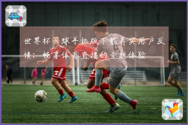 世界杯买球手机版下载真实用户反馈：畅享体育直播的全新体验