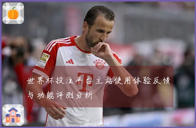 世界杯投注平台主站使用体验反馈与功能评测分析