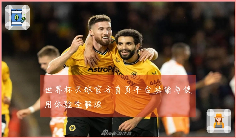 世界杯买球官方首页平台功能与使用体验全解读