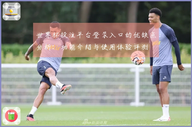 世界杯投注平台登录入口的优缺点分析：功能介绍与使用体验评测